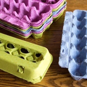 Full Dozen Windowed Egg Cartons - Pink - Blue - Lime Green - Multicolor