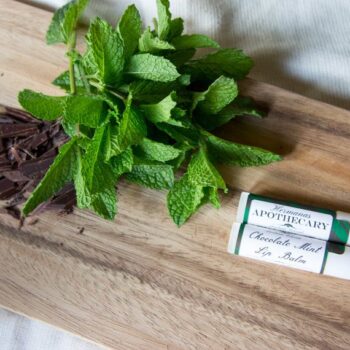 Chocolate Mint Lip Balm