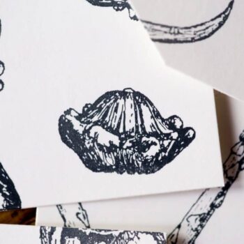 Scalloped Squash Stamp