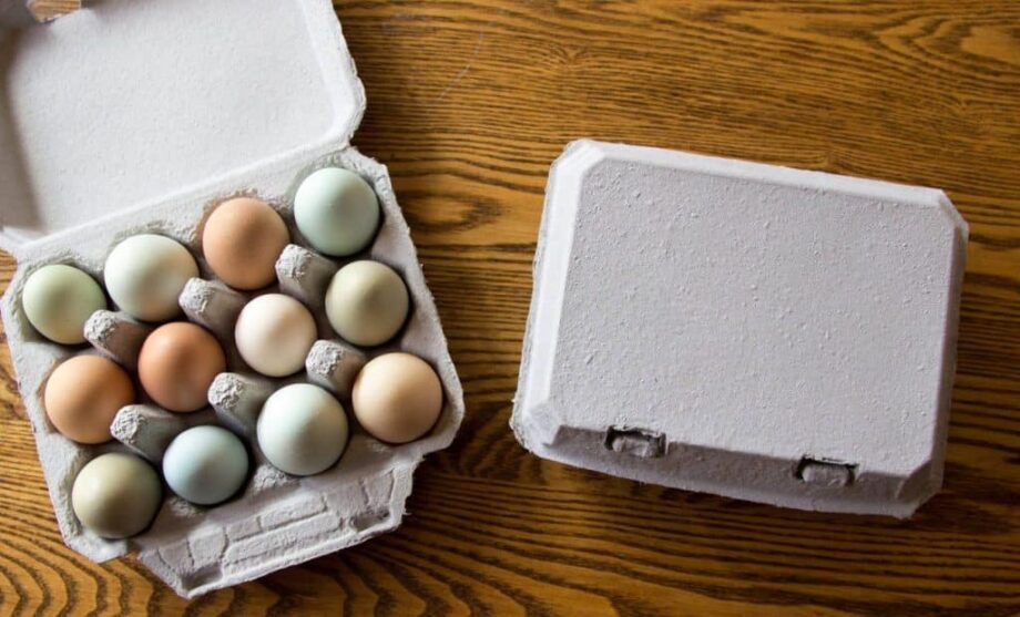 Vintage Dozen Egg Cartons - 4x3 (pack of 10)