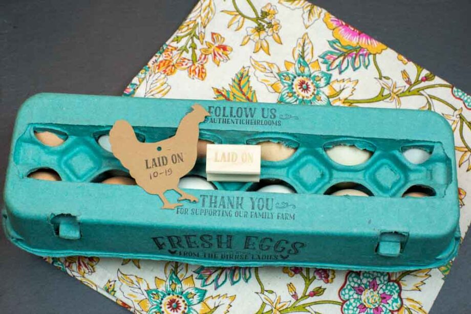 Egg Carton Stamp Laid On