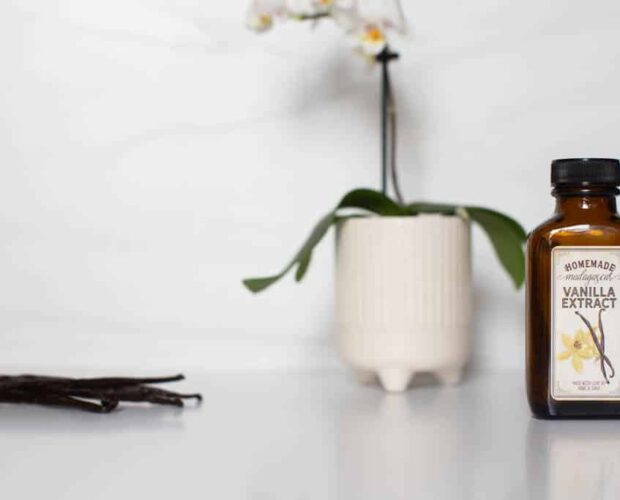 Homemade Vanilla Extract in a bottle with personalized label and vanilla beans with an orchid in the background.