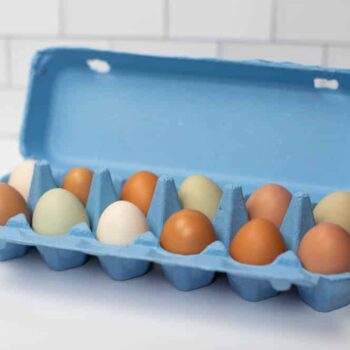 Blue Full Dozen Egg Carton - Flat Top