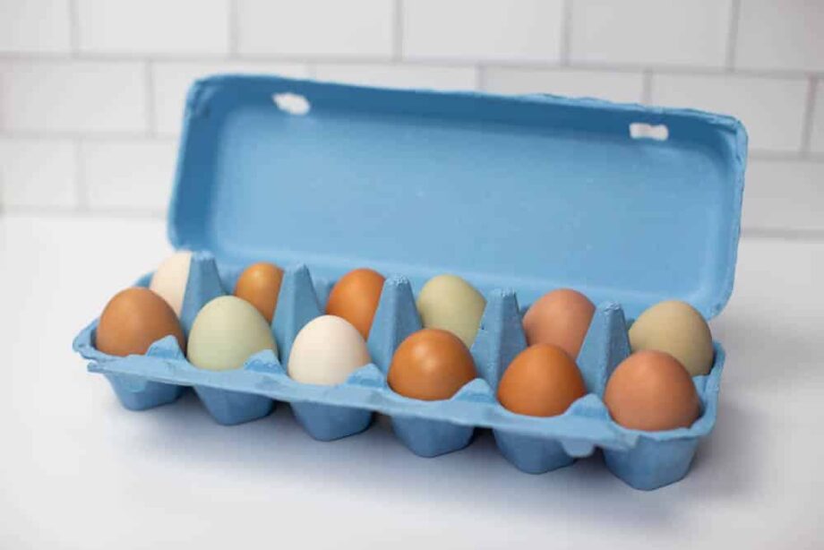 Blue Full Dozen Egg Carton - Flat Top