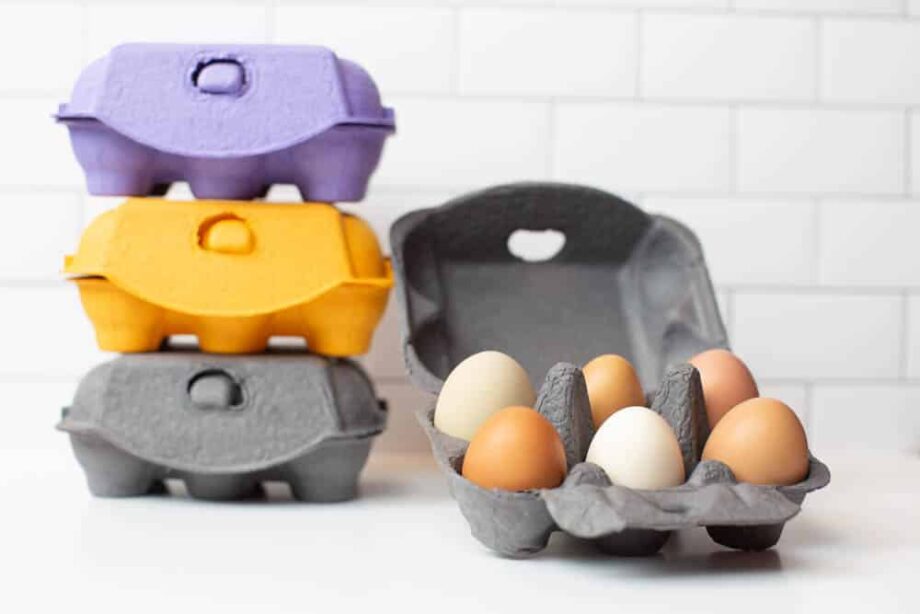 Charcoal, Purple and Orange Orange Half Dozen Egg Cartons