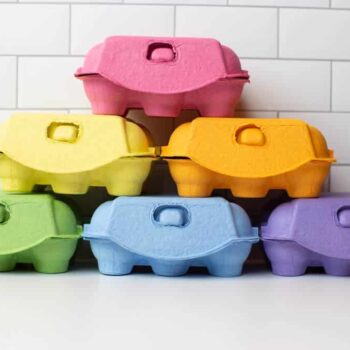 Colorful Half Dozen Egg Cartons - Pastel Colors