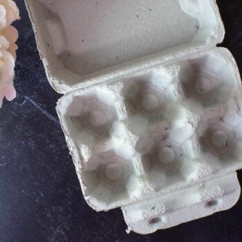 Half Dozen Duck Egg Cartons - Natural Pulp